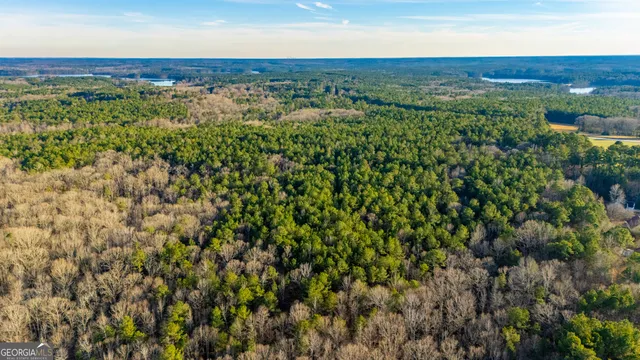 an aerial view of residential houses with outdoor and green space