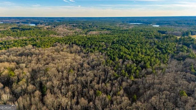 $1,750,000 | 0 New Hope Road, Locust Grove, GA 30248