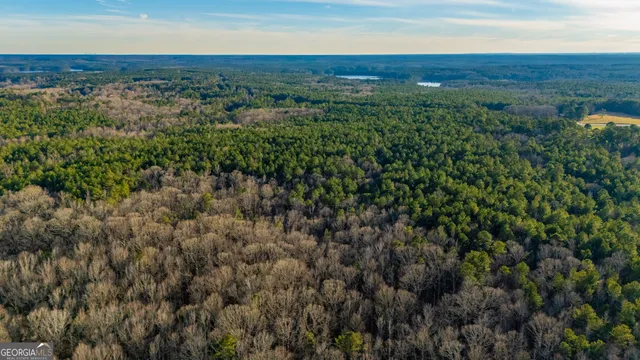 $1,750,000 | 0 New Hope Road, Locust Grove, GA 30248