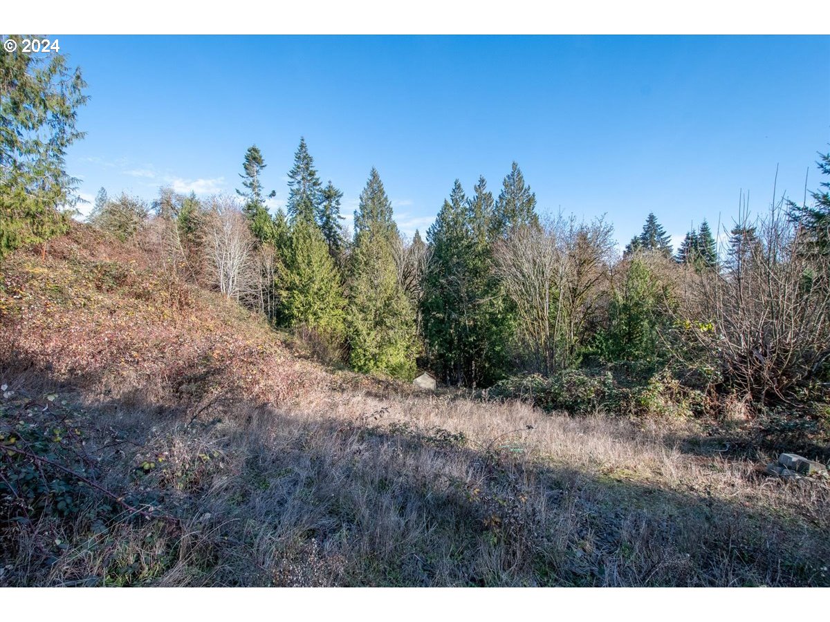 145 Newt Estates Road Longview, WA 98632 - Photo 22 of 27