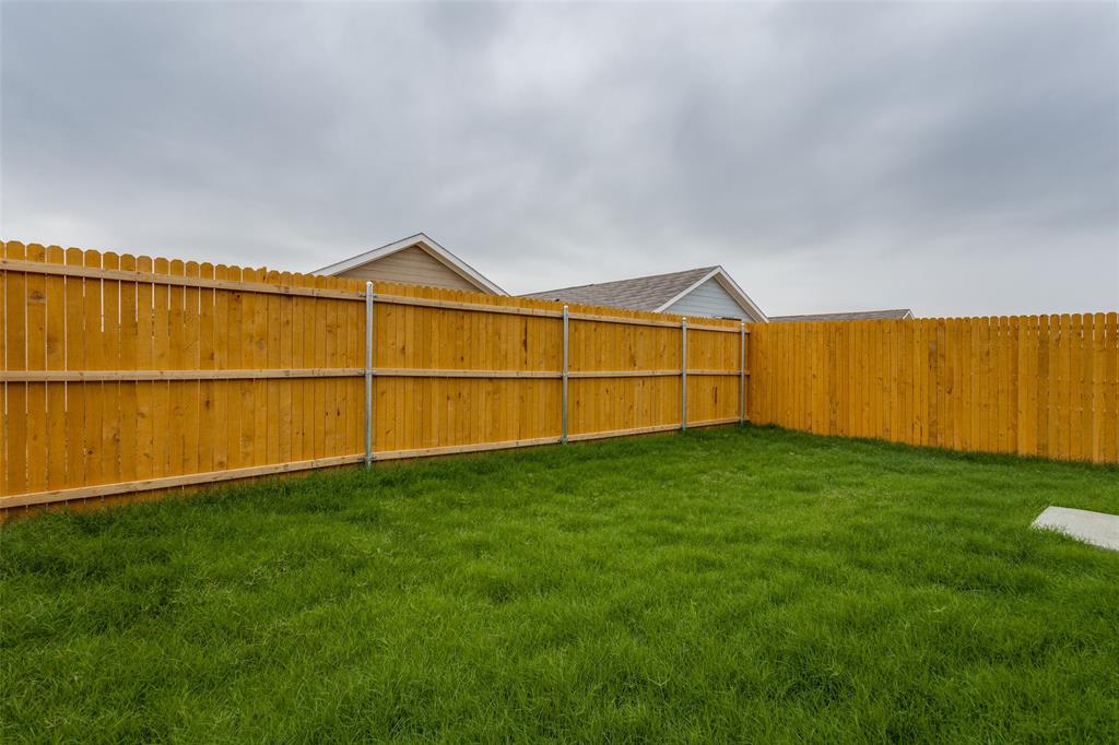 127 Sunflower Street Princeton, TX 75407 - Photo 21 of 21 View of yard