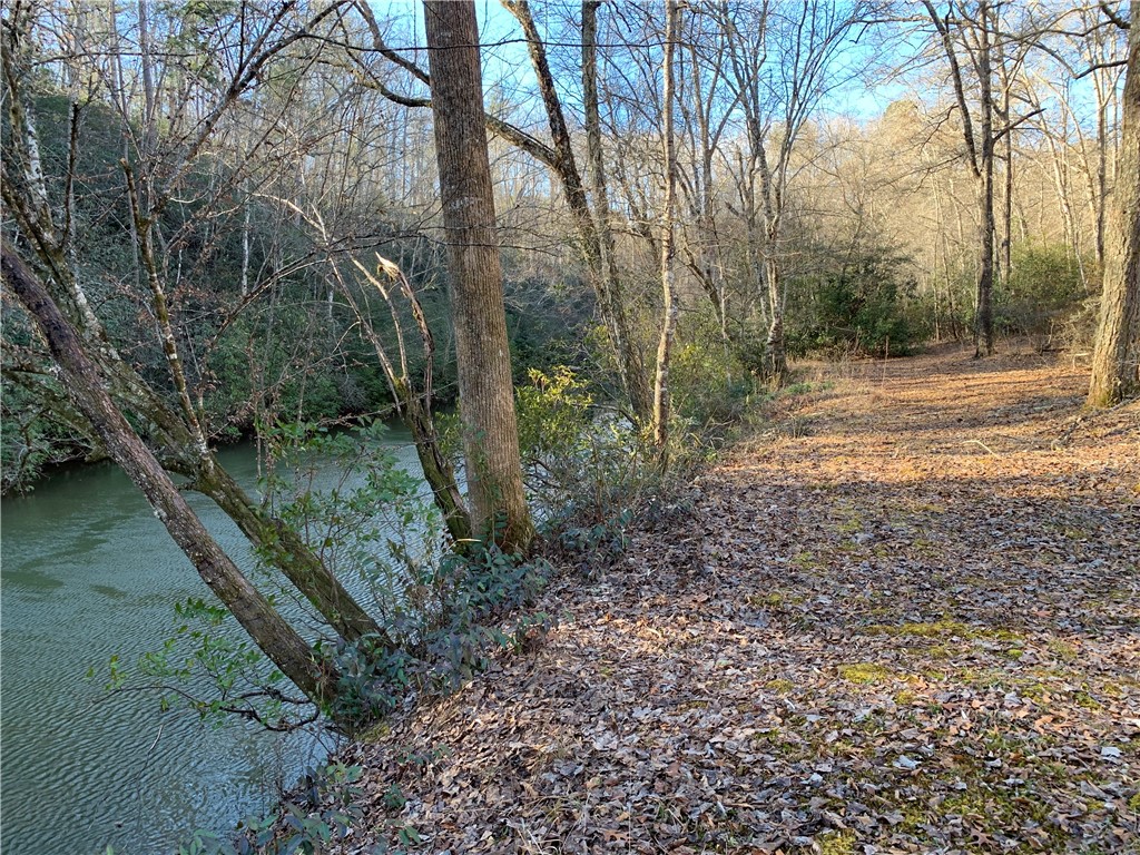 315 Little River Crossing Road Salem, SC 29676 - Photo 3 of 35 Gallery Image 3