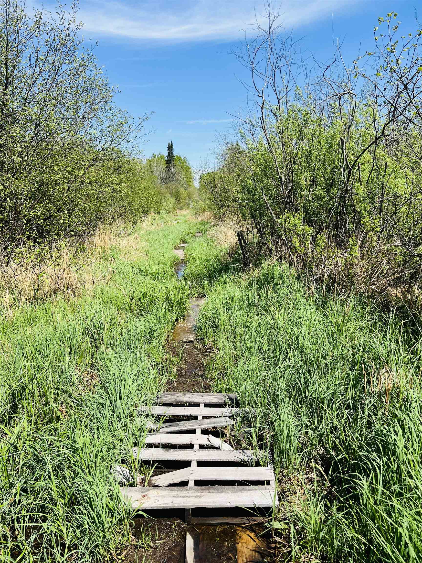 Zink Rib Lake, WI 54470 - Photo 1 of 4