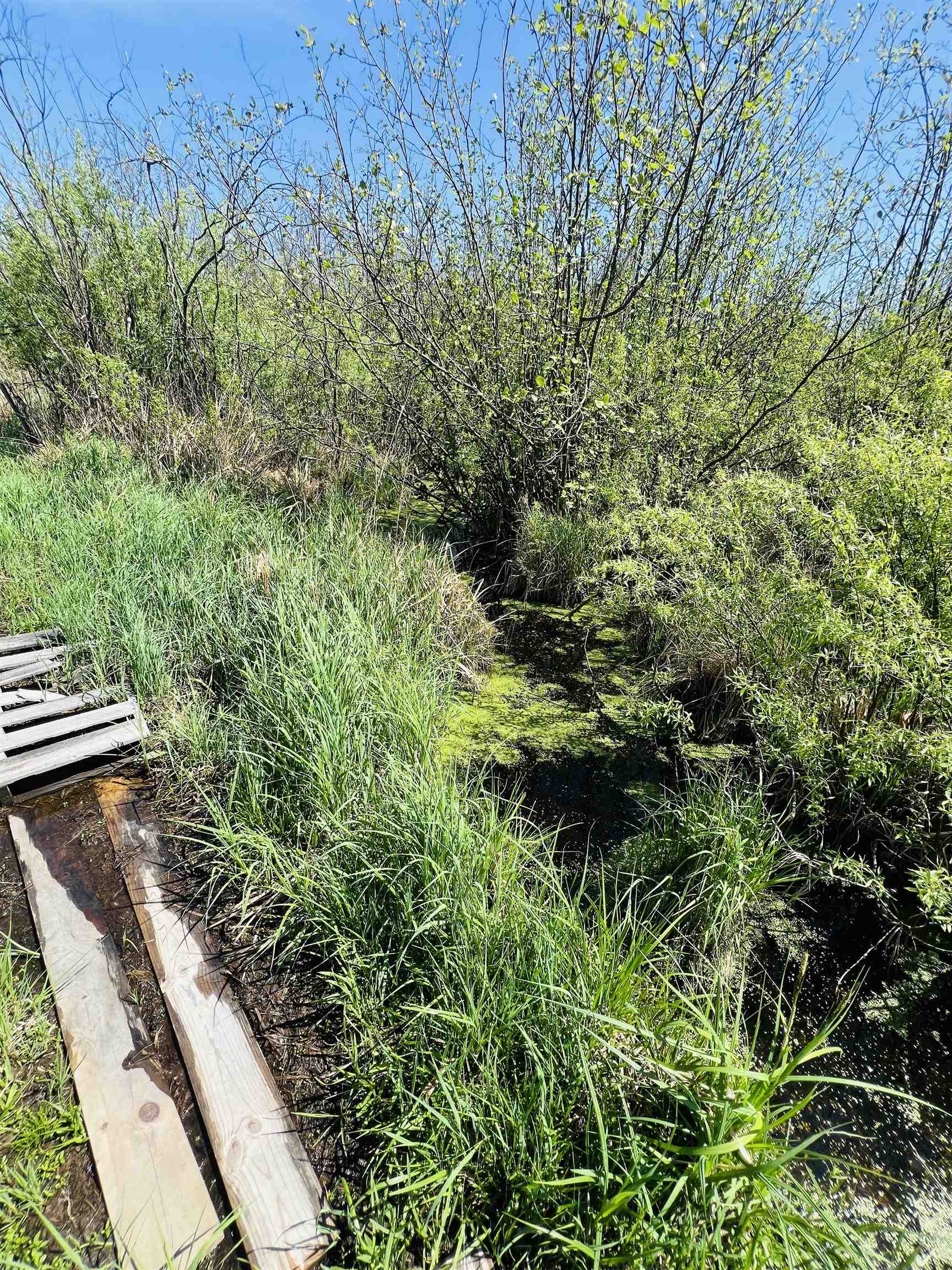 Zink Rib Lake, WI 54470 - Photo 2 of 4