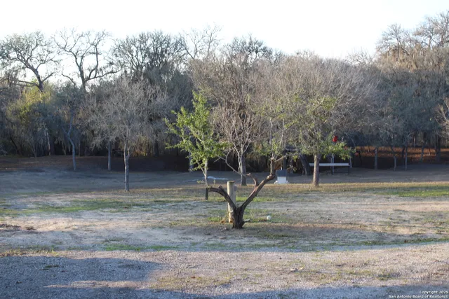 a view of a backyard