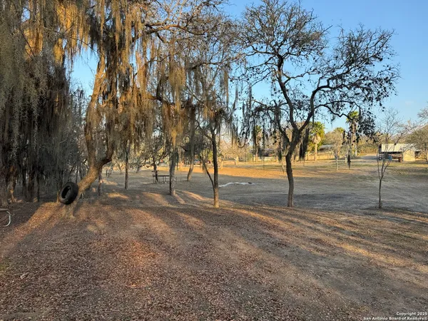 a view of empty space with large trees