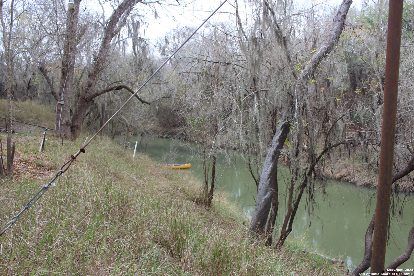 123 Choke Canyon Estates Drive Three Rivers, TX 78071 - Photo 19 of 19 a view of a forest