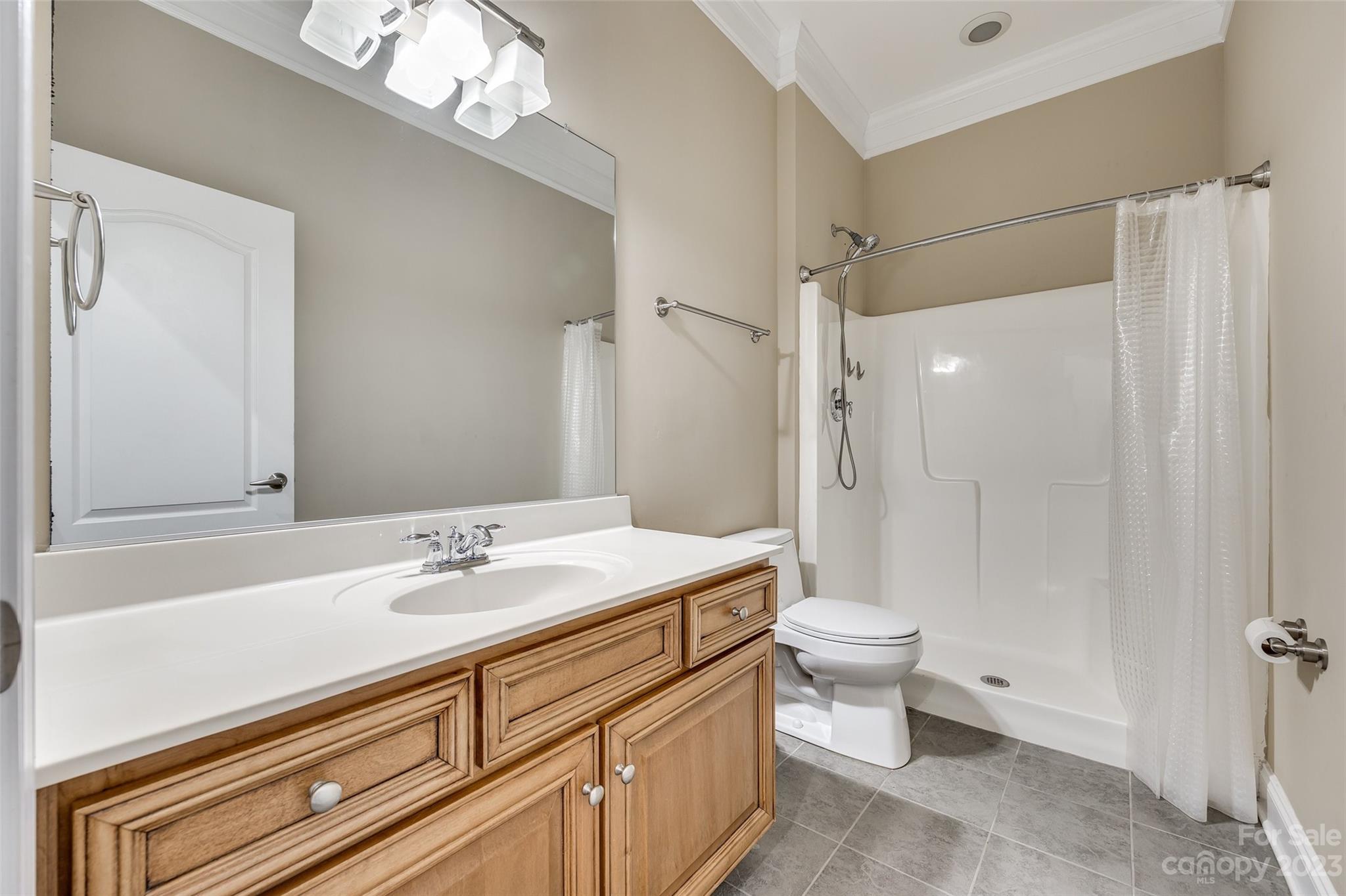 16420 Woolwine Road Charlotte, NC 28278 - Photo 22 of 41 a bathroom with a sink a toilet a mirror and shower