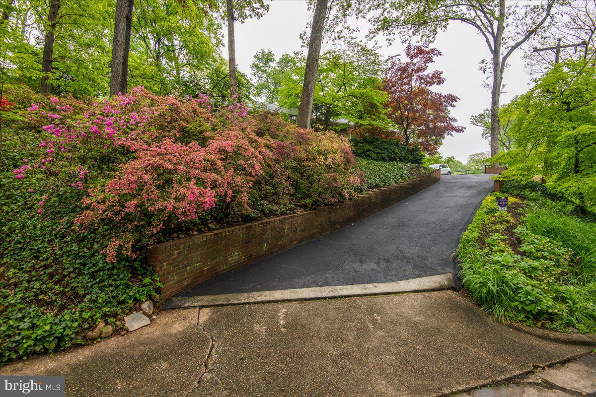 325 Beverley Drive Alexandria, VA 22305 - Photo 23 of 73