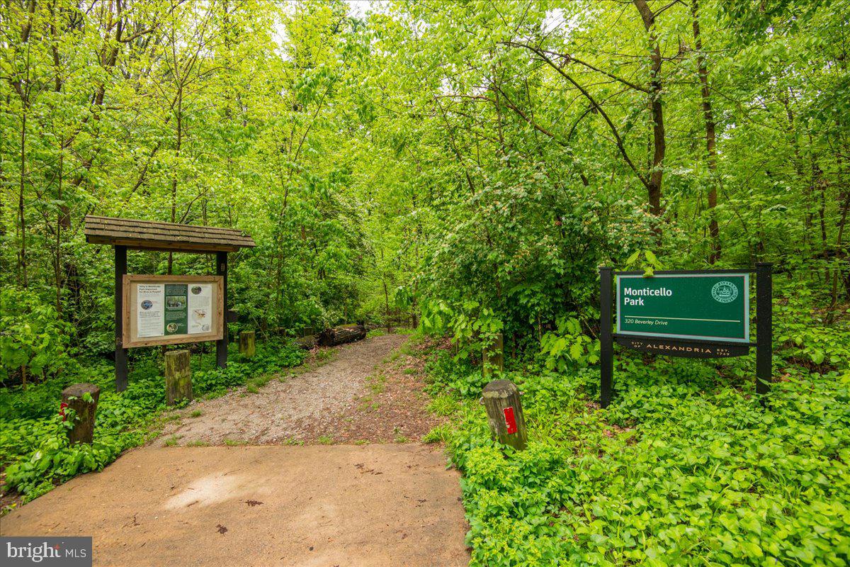 325 Beverley Drive Alexandria, VA 22305 - Photo 24 of 73