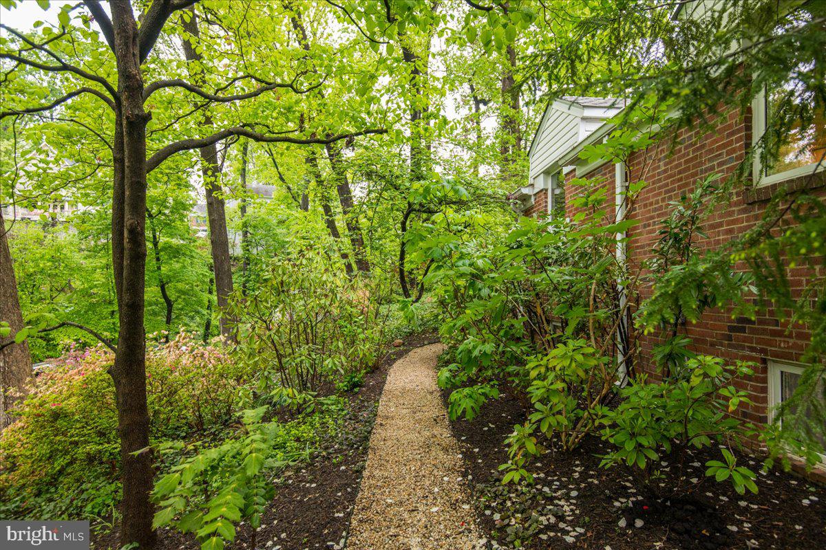 325 Beverley Drive Alexandria, VA 22305 - Photo 26 of 73