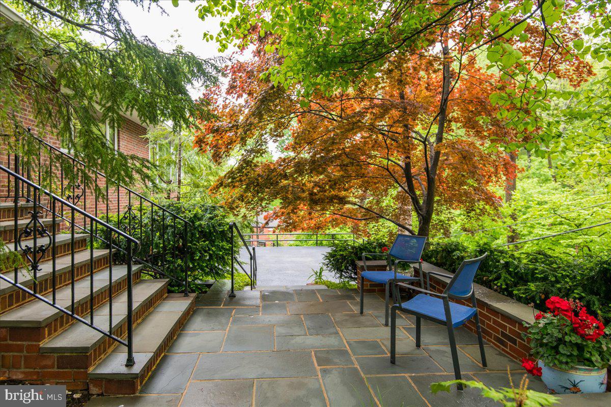 325 Beverley Drive Alexandria, VA 22305 - Photo 27 of 73