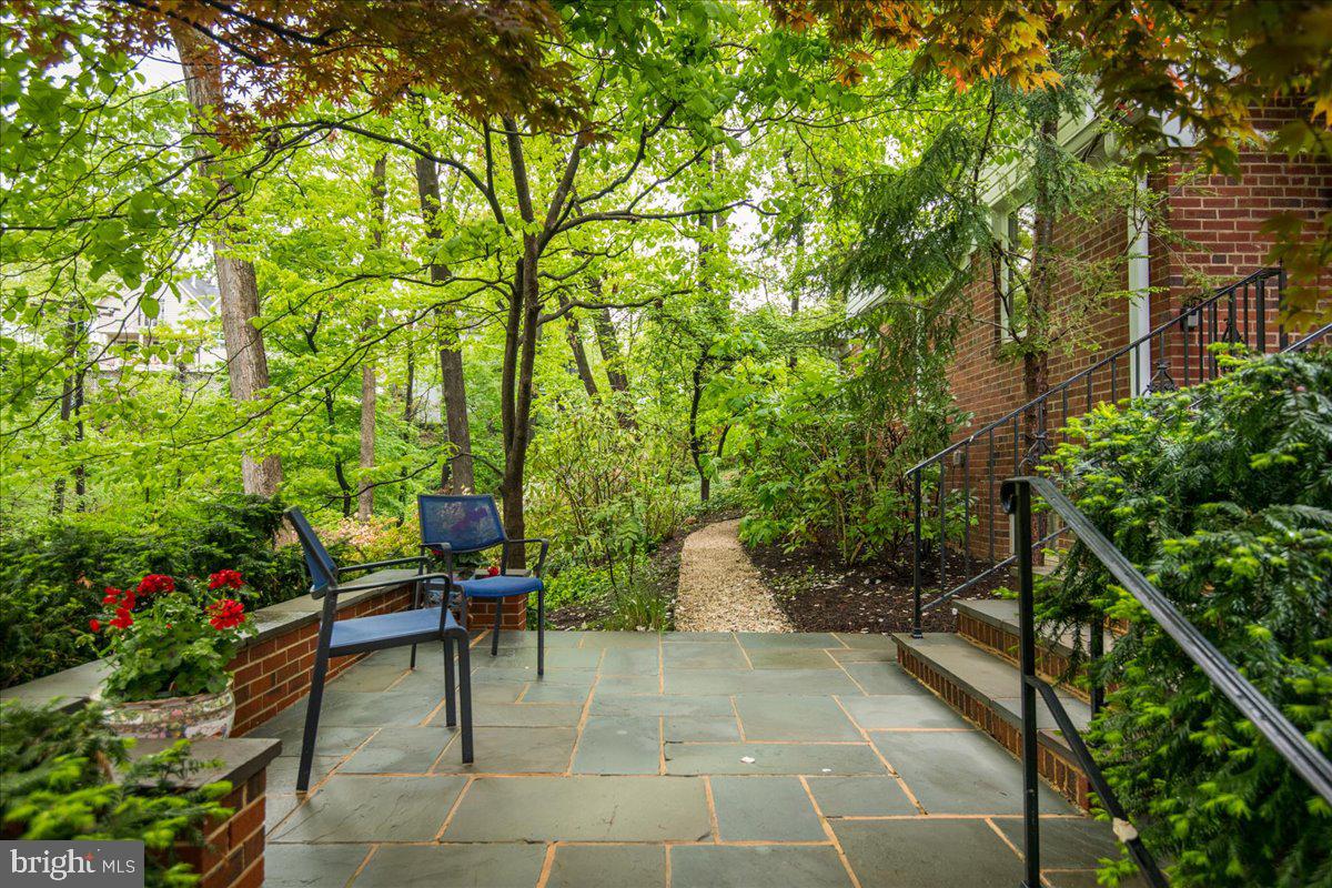 325 Beverley Drive Alexandria, VA 22305 - Photo 28 of 73