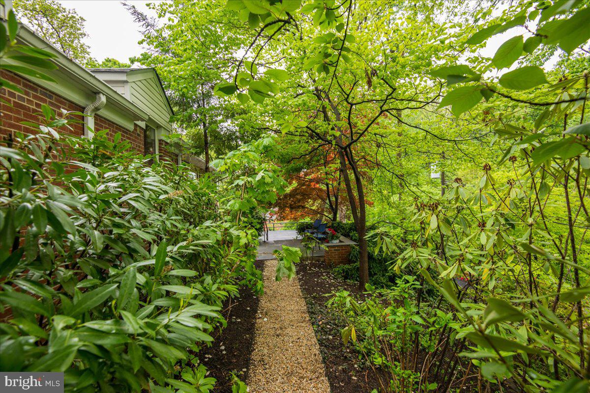 325 Beverley Drive Alexandria, VA 22305 - Photo 62 of 73