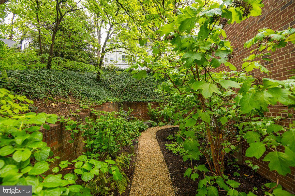 325 Beverley Drive Alexandria, VA 22305 - Photo 63 of 73