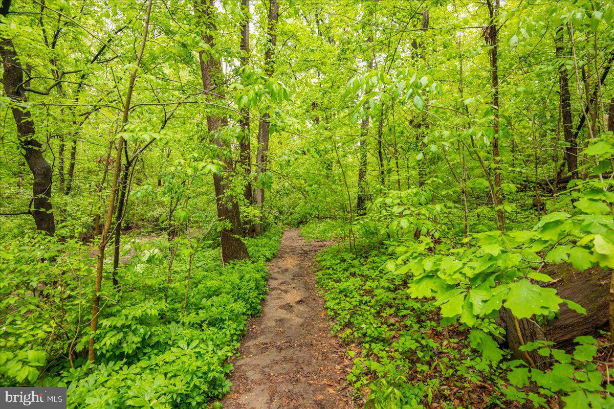 325 Beverley Drive Alexandria, VA 22305 - Photo 71 of 73