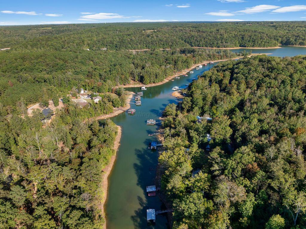 148 Joy Road Houston, AL 35572 - Photo 37 of 42 DJI_20250929151709_0431_D
