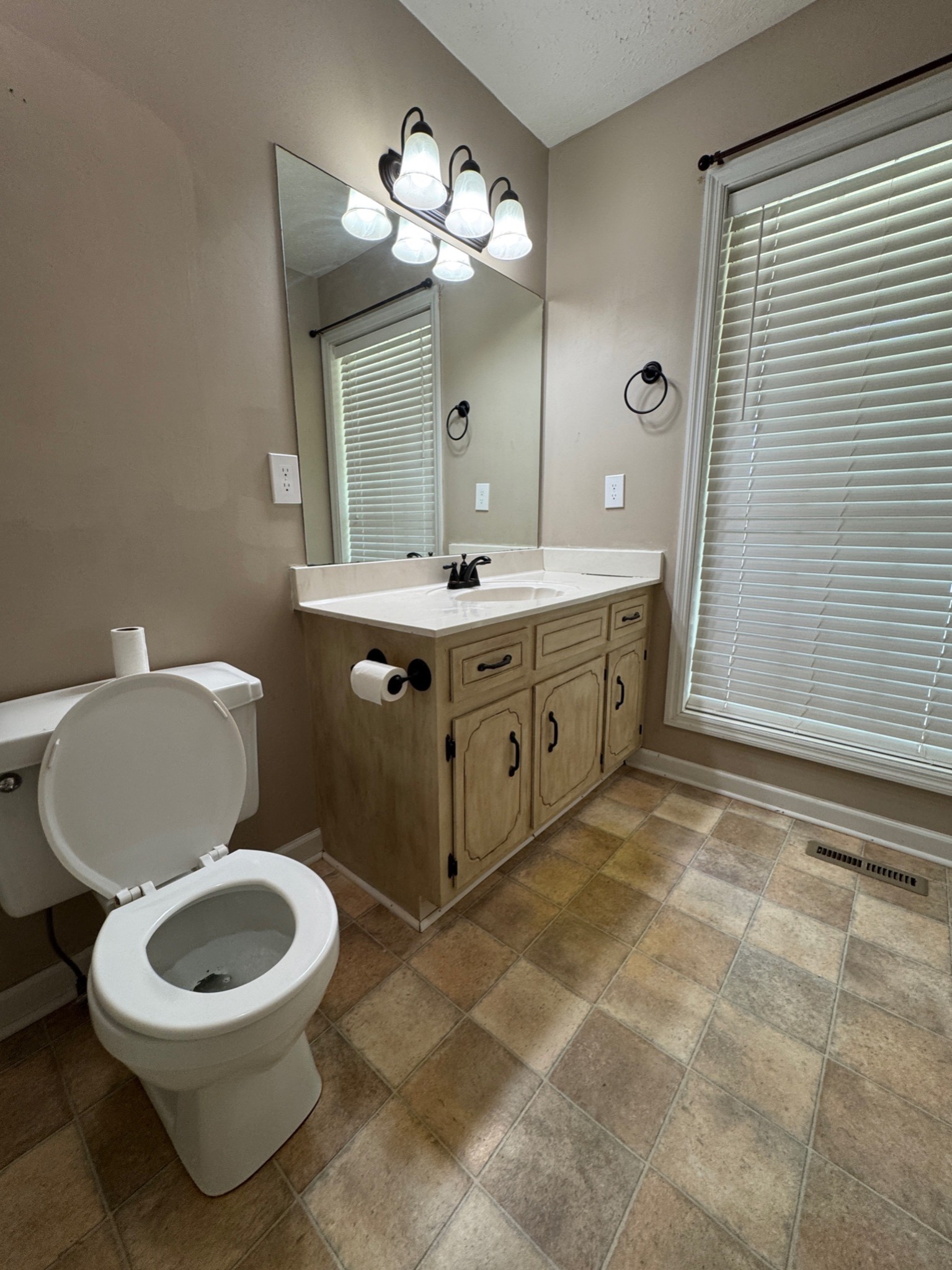 3594 Oak Grove Road Red Boiling Springs, TN 37150 - Photo 29 of 33 a spacious bathroom with a toilet sink and mirror