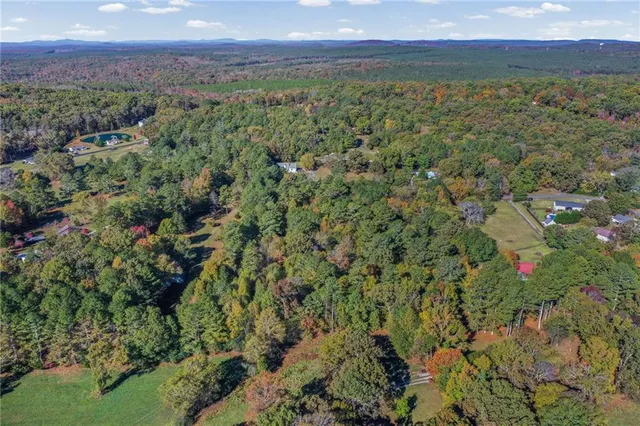 a view of a flower in a yard