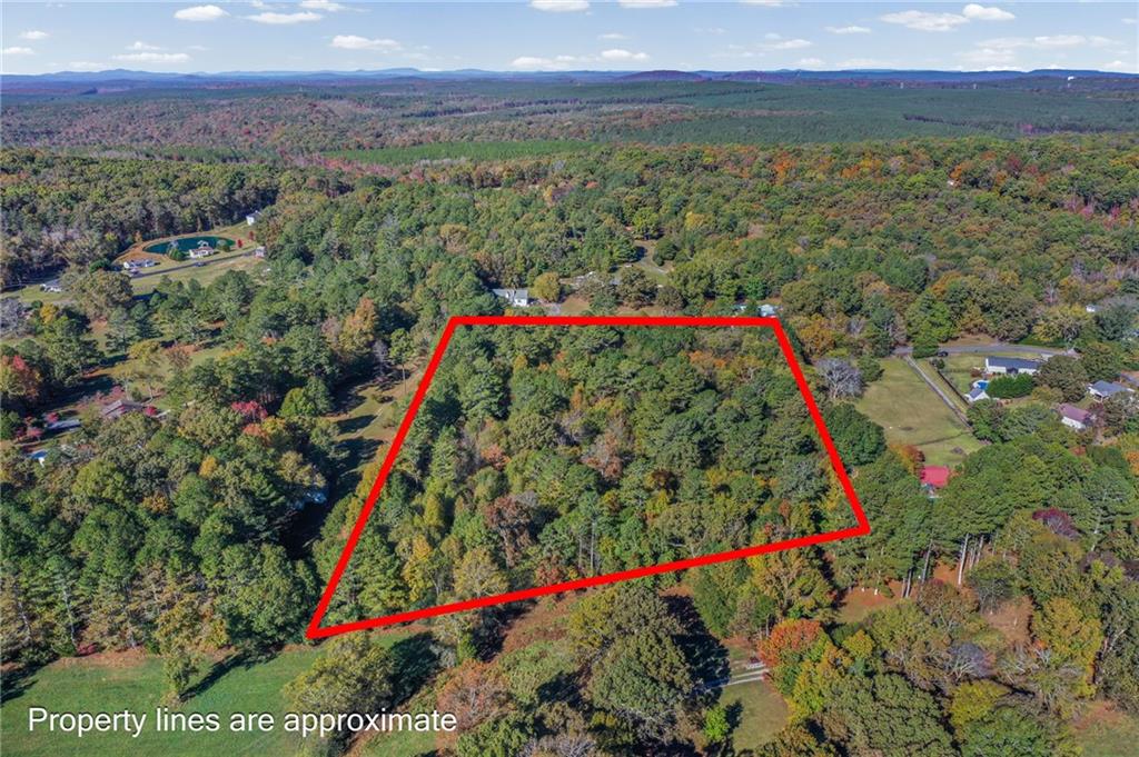 0 Law Road Northwest Cartersville, GA 30120 - Photo 14 of 25 a view of a flower in a yard