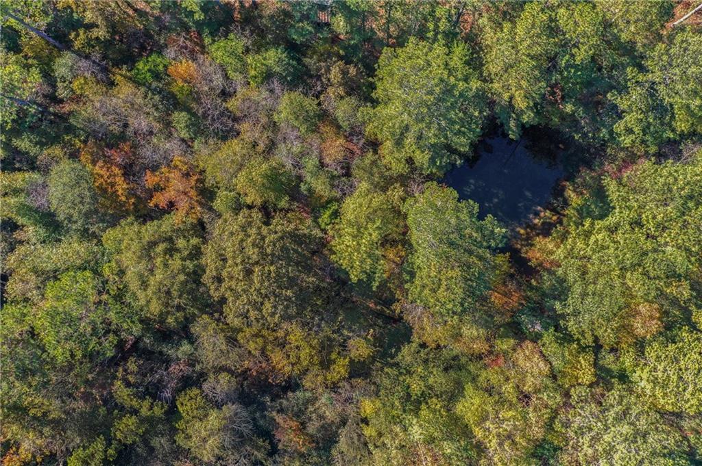 0 Law Road Northwest Cartersville, GA 30120 - Photo 18 of 25 a view of a house with a lush green forest