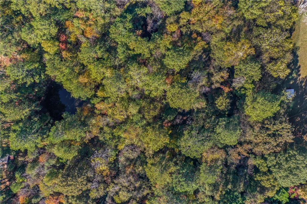 0 Law Road Northwest Cartersville, GA 30120 - Photo 19 of 25