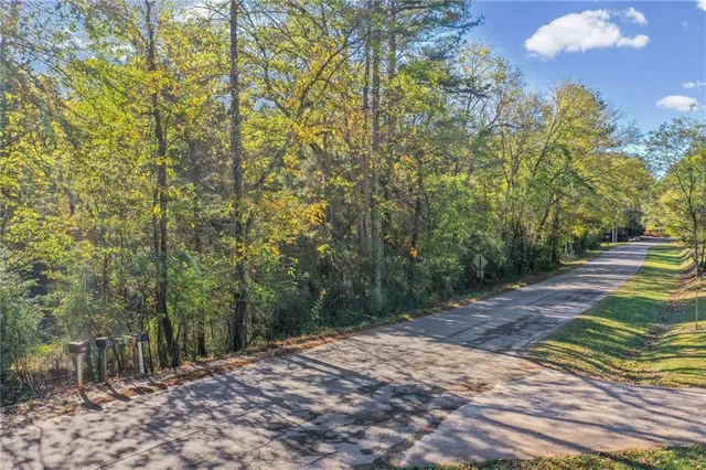 a view of a yard with plants and trees