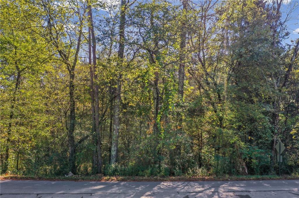 0 Law Road Northwest Cartersville, GA 30120 - Photo 22 of 25 a view of a yard with large trees