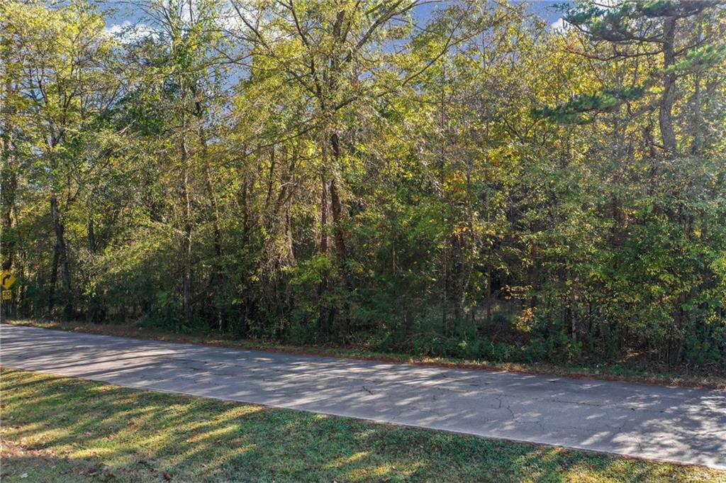 0 Law Road Northwest Cartersville, GA 30120 - Photo 3 of 25 a view of backyard with green space