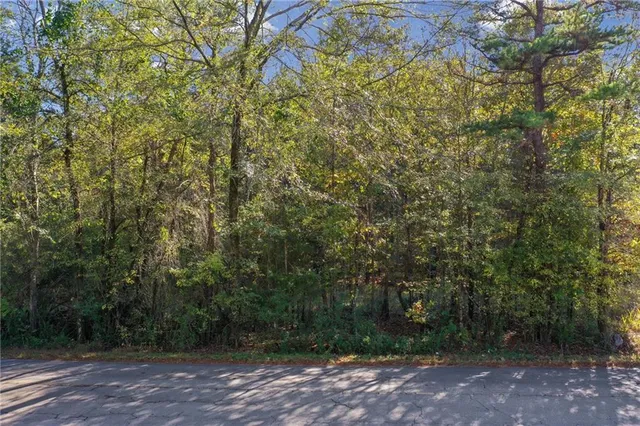 a view of outdoor space and yard