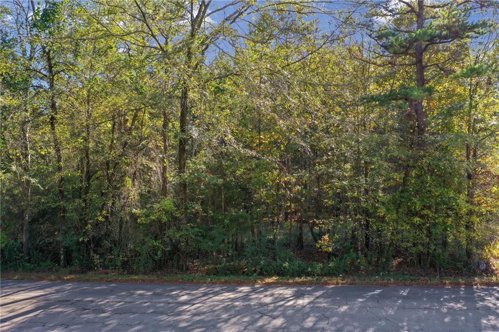 0 Law Road Northwest Cartersville, GA 30120 - Photo 4 of 25 a view of outdoor space and yard