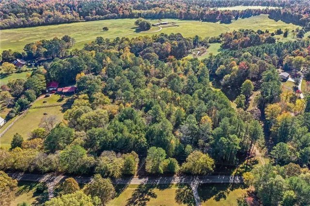a view of a yard with plants