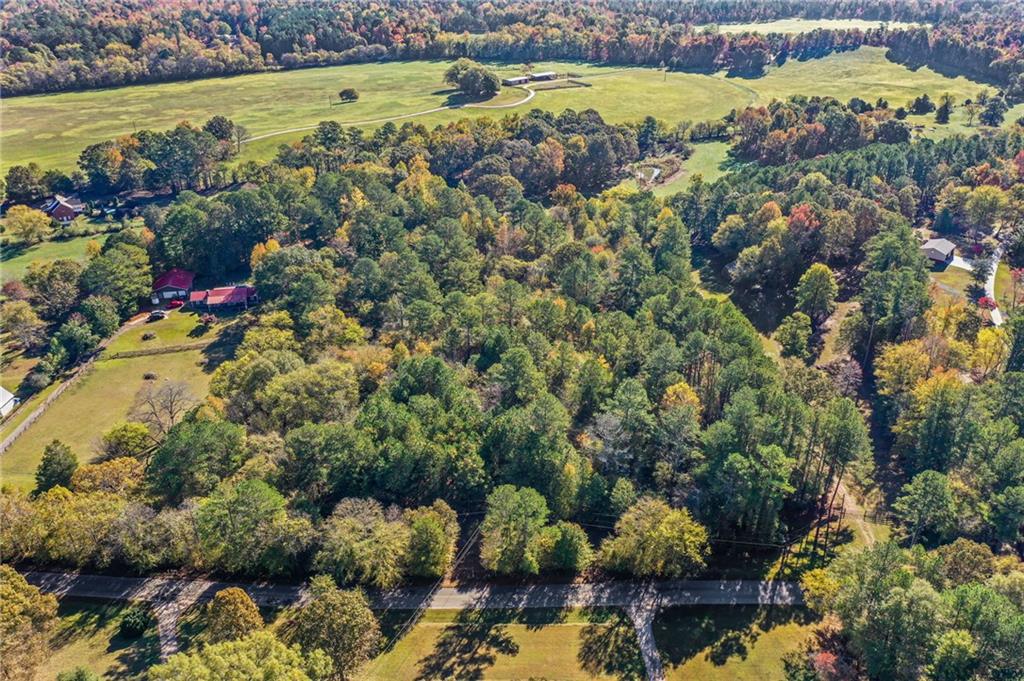 0 Law Road Northwest Cartersville, GA 30120 - Photo 5 of 25 a view of a yard with plants