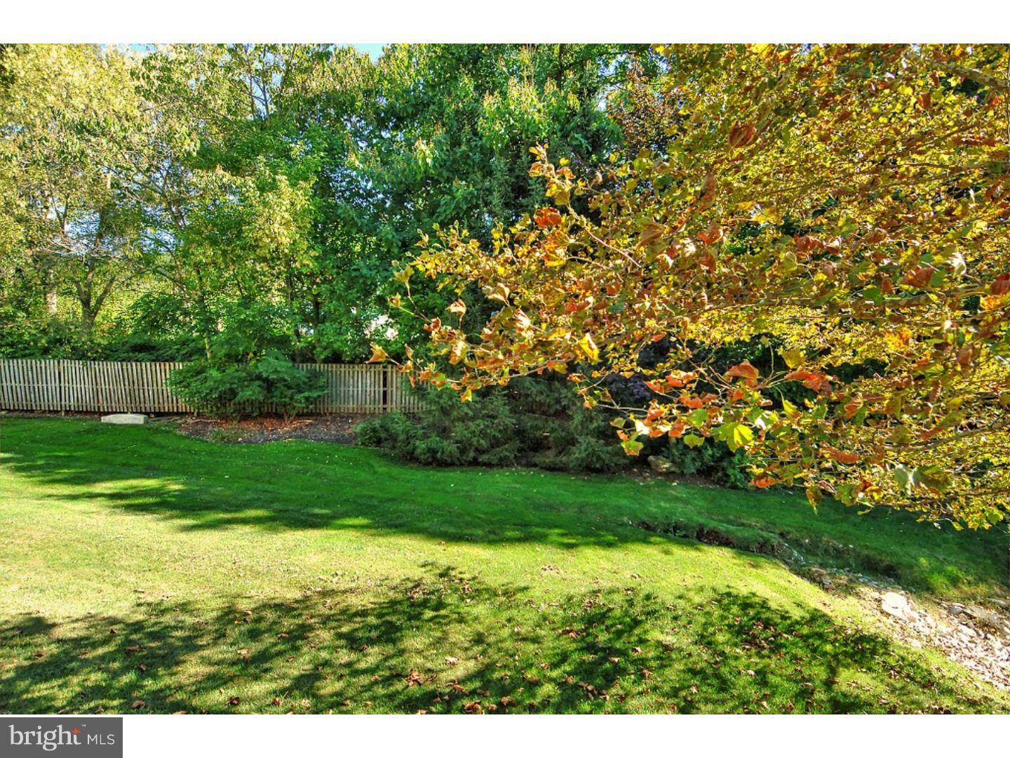 1113 Brian's Way Wayne, PA 19087 - Photo 23 of 25 a view of a yard with an tree