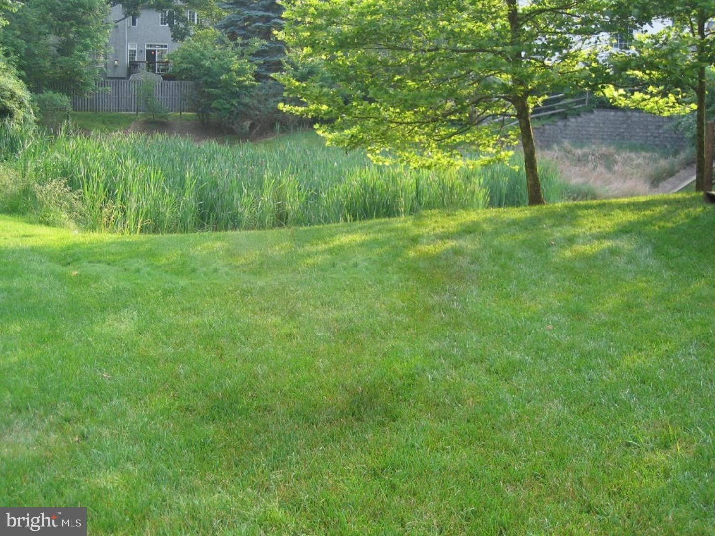1113 Brian's Way Wayne, PA 19087 - Photo 25 of 25 a view of a lush green space