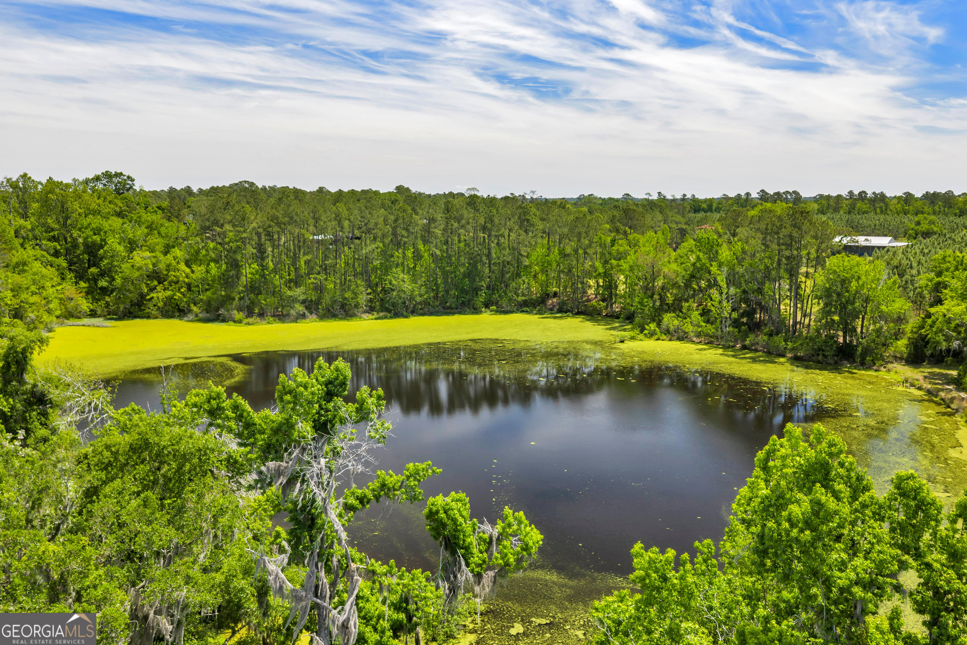 3807 Val Tech Road Valdosta, GA 31602 - Photo 12 of 39 a view of a lake with a yard