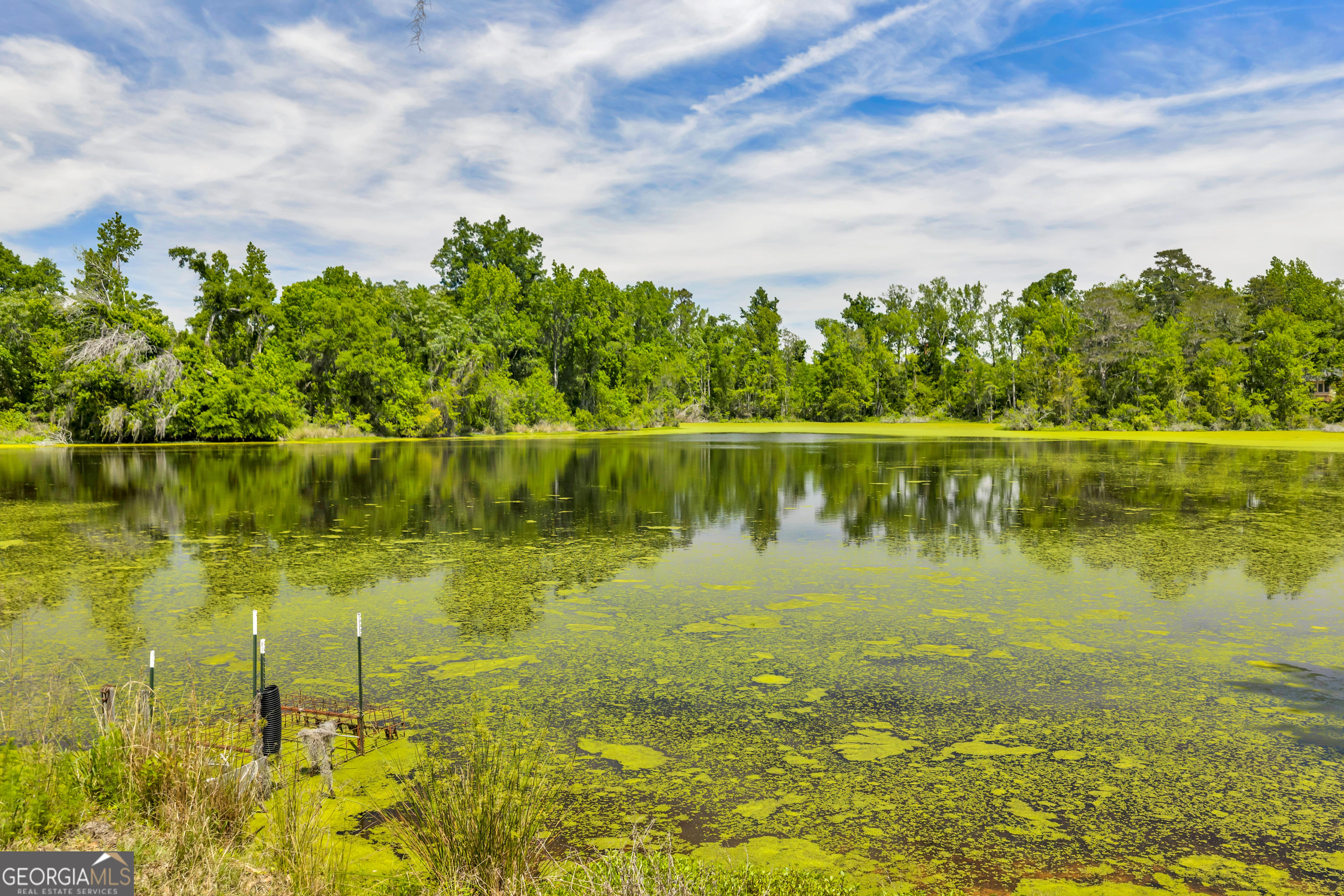 3807 Val Tech Road Valdosta, GA 31602 - Photo 37 of 39 a view of a lake with a yard