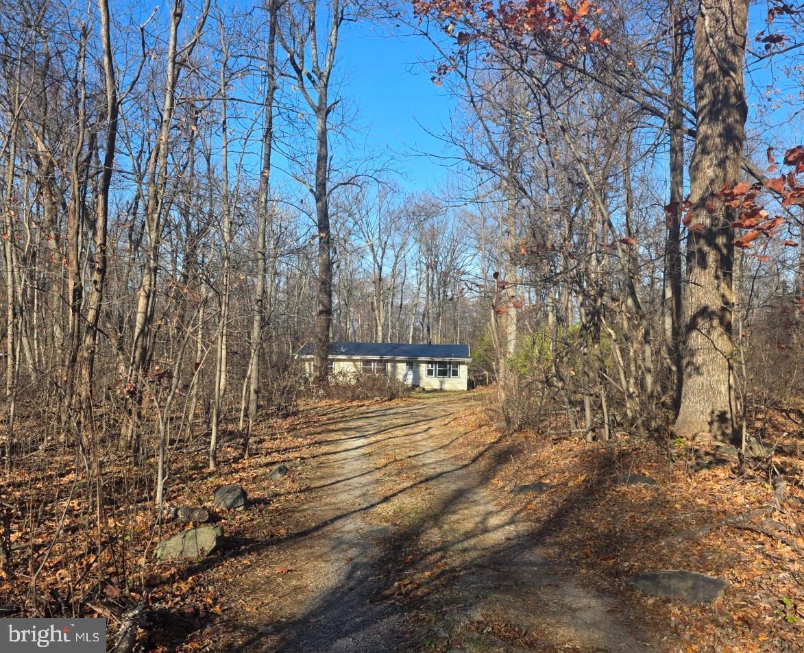 3717 Freezeland Road Linden, VA 22642 - Photo 2 of 23
