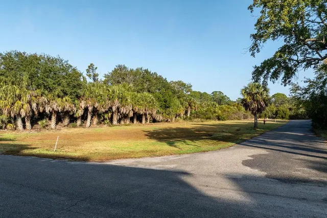 $70,000 | Tbd Harbour Point Drive, Crawfordville, FL 32327