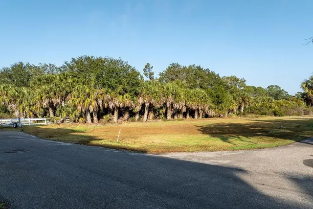 $70,000 | Tbd Harbour Point Drive, Crawfordville, FL 32327