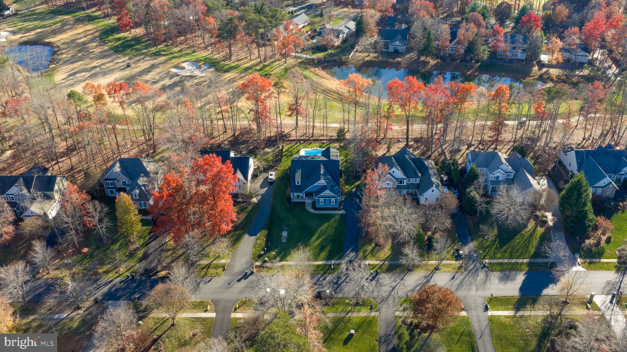 10908 Chatham Ridge Way Spotsylvania, VA 22551 - Photo 36 of 47 a view of street