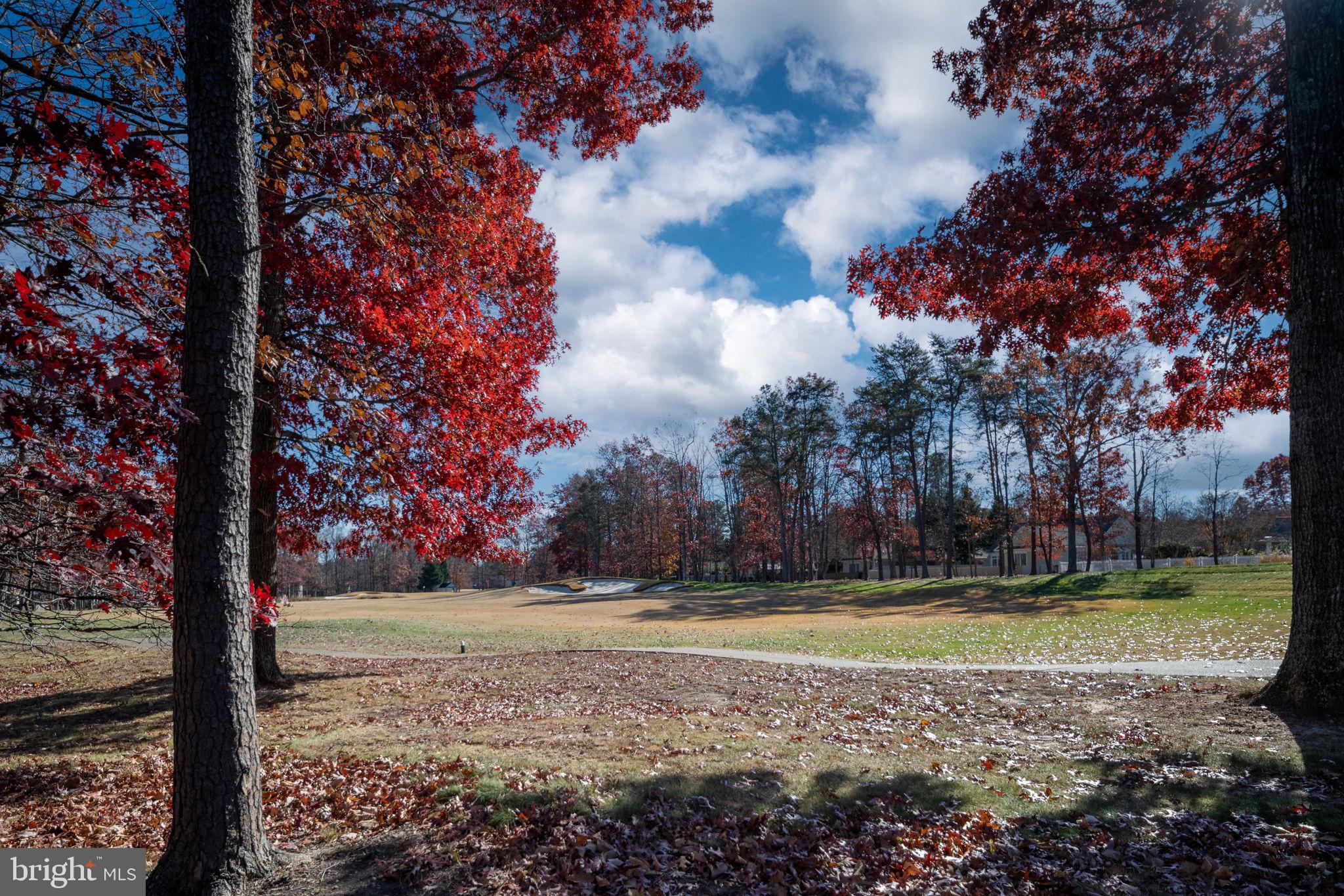 10908 Chatham Ridge Way Spotsylvania, VA 22551 - Photo 37 of 47 a view of swimming pool with trees in the background