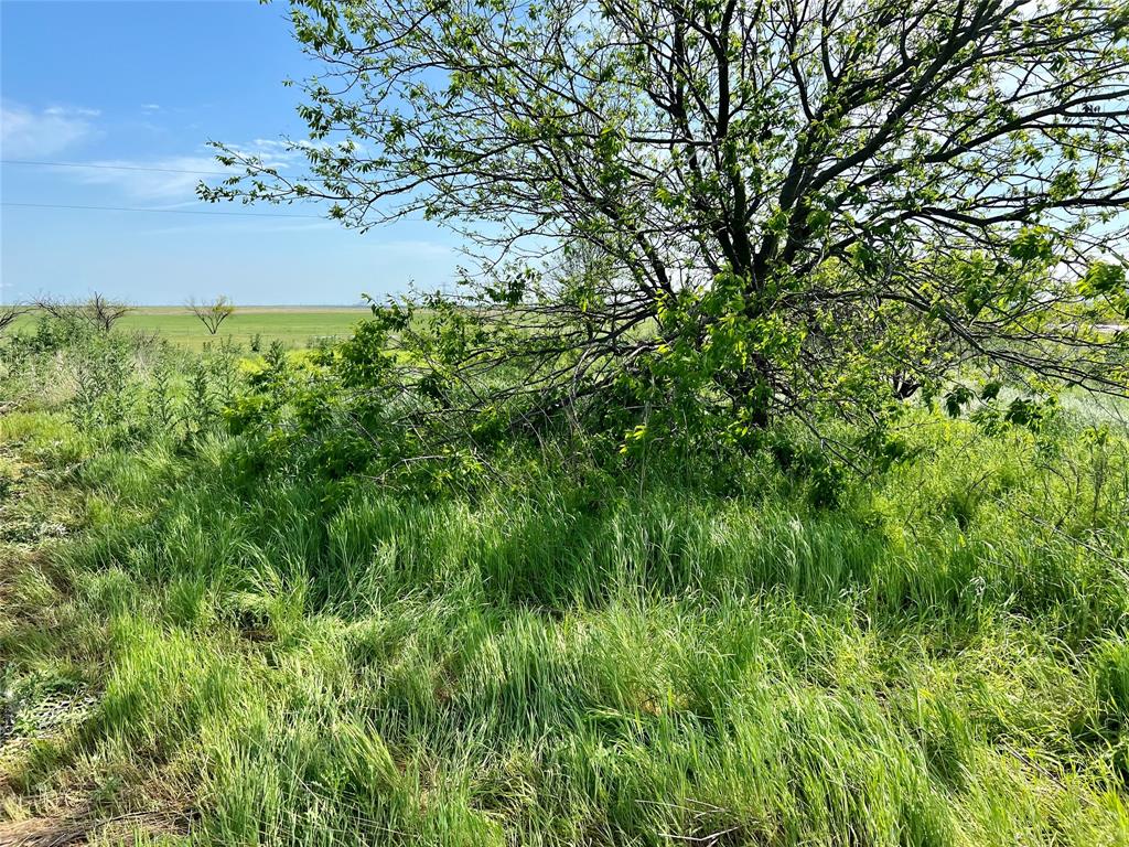 9315 Highway 79 Wichita Falls, TX 76310 - Photo 20 of 29 View of local wilderness