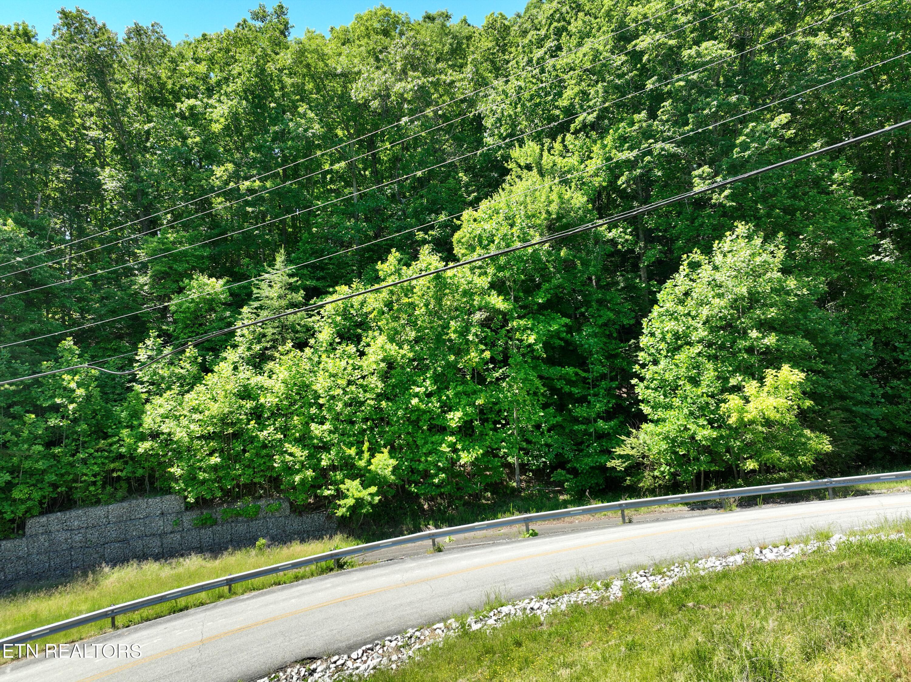 0 Flint Ridge Road Rockwood, TN 37854 - Photo 29 of 37 DJI_0613