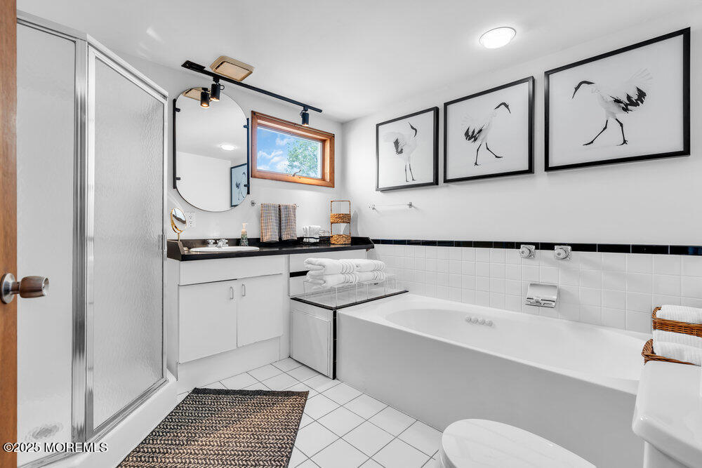 308 16th Avenue Belmar, NJ 07719 - Photo 26 of 54 a bathroom with a sink a mirror and a shower