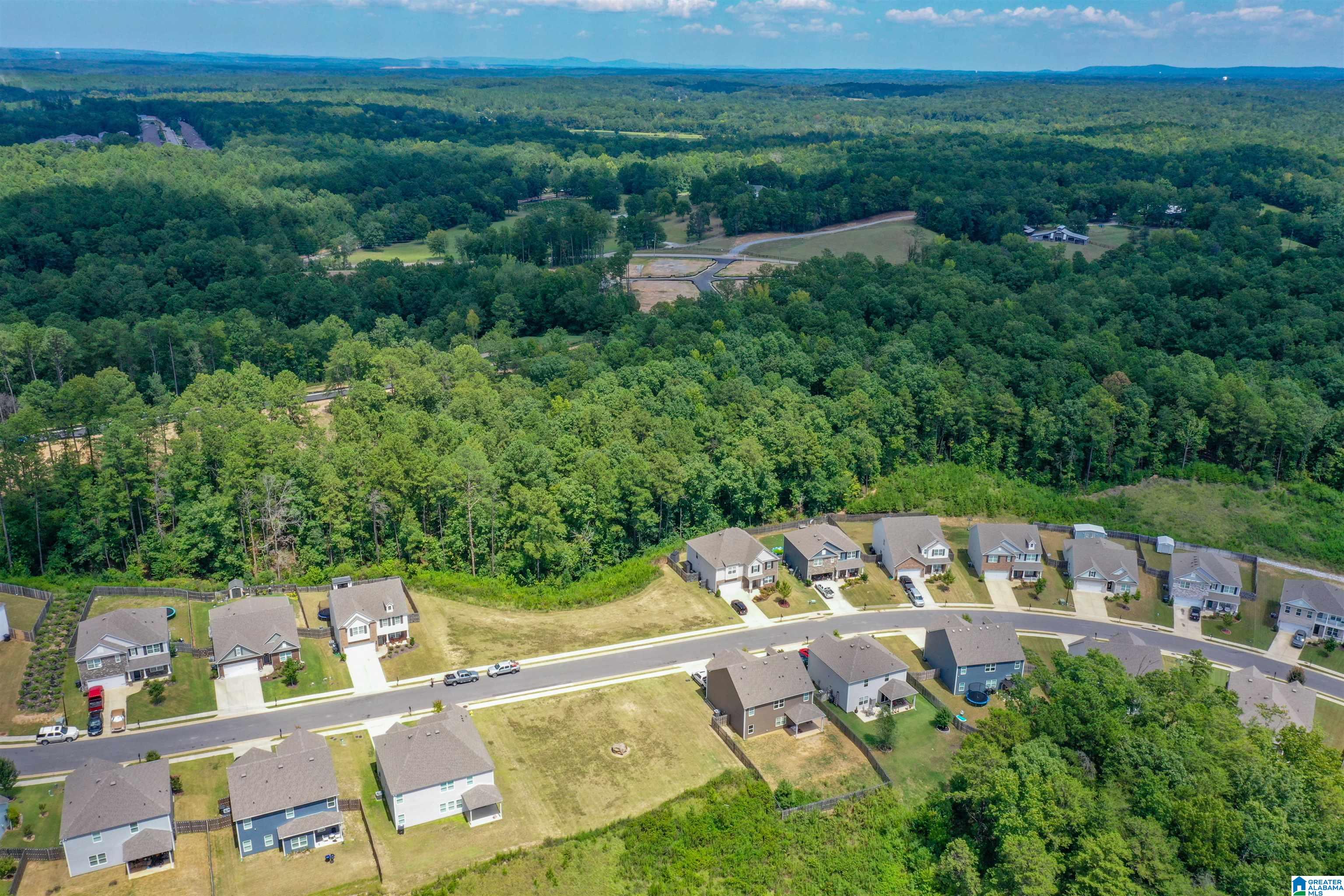 1180 Merion Drive Calera, AL 35040 - Photo 64 of 75