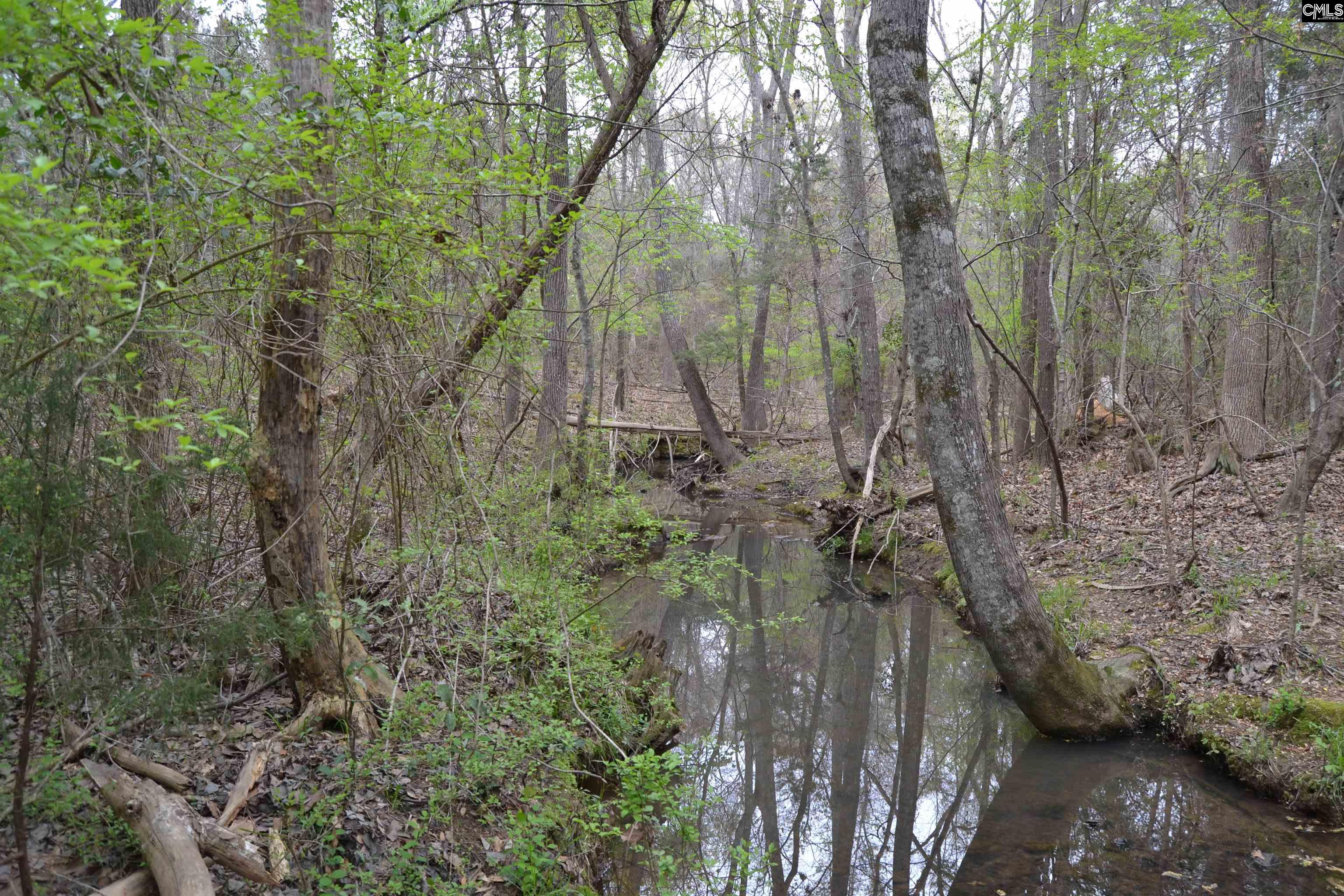 1309 Farming Creek Road Irmo, SC 29063 - Photo 1 of 8