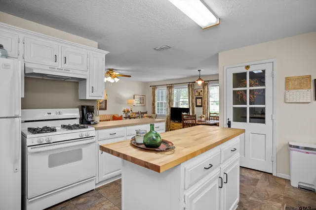 a kitchen with a stove a sink and a refrigerator