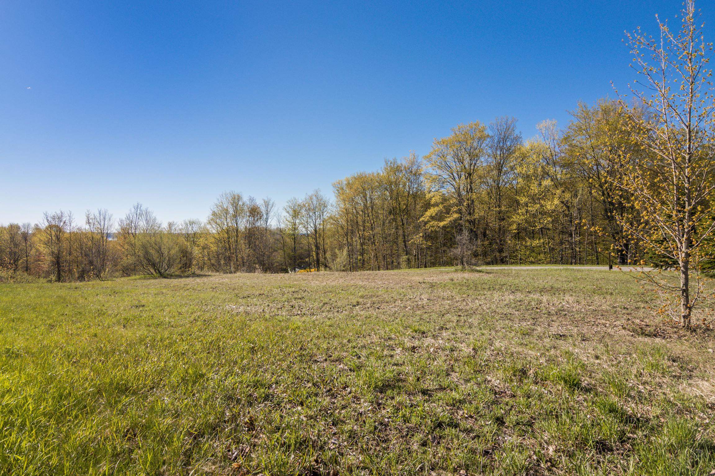 0 South Donnybrook Road, Unit LOT: 4 Suttons Bay, MI 49682 - Photo 5 of 42
