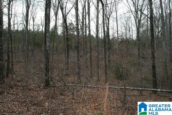 Rushing Springs Road, Unit 52± ACRES Lincoln, AL 35096 - Photo 15 of 15 Gallery Image 15